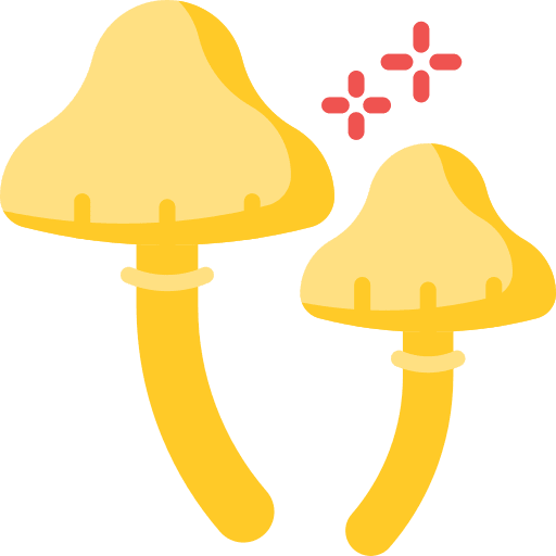 Mushroom food muscaria mushrooms icon