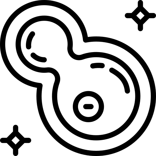 Bacteria medical investigation virus icon