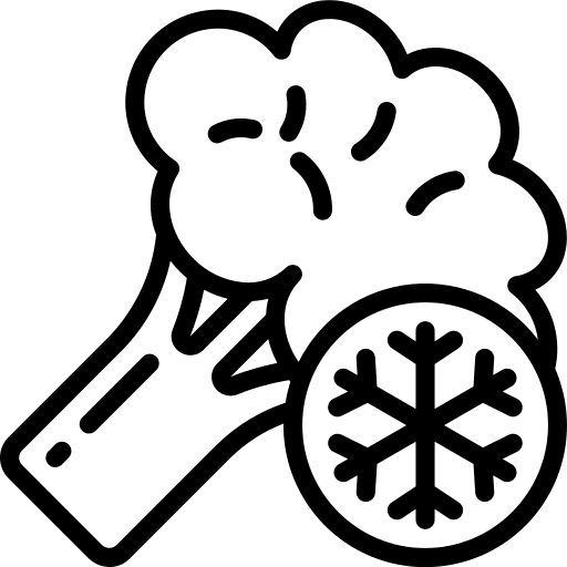 Vegetable vegetable food salad icon