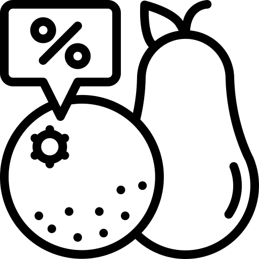 Fruit food organic vegan icon