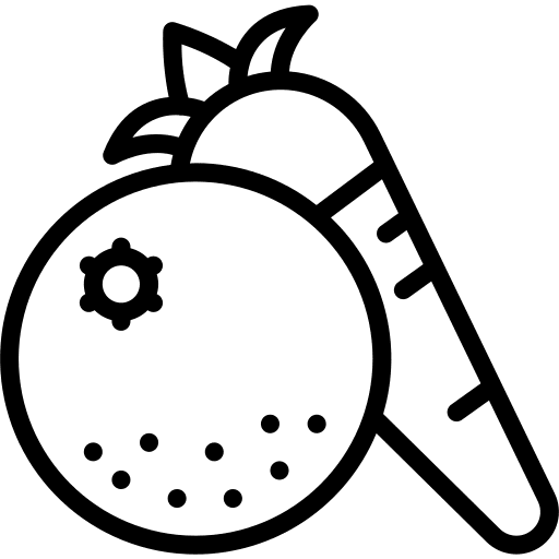 Vegetables vegetables healthy food organic icon