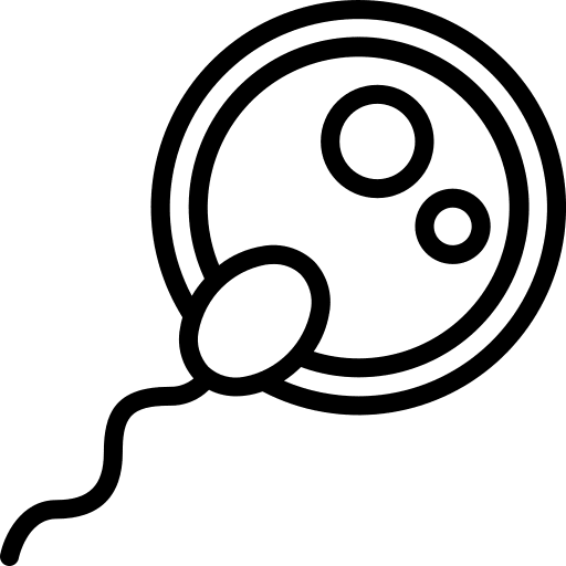 Fertilization egg sex sperm icon