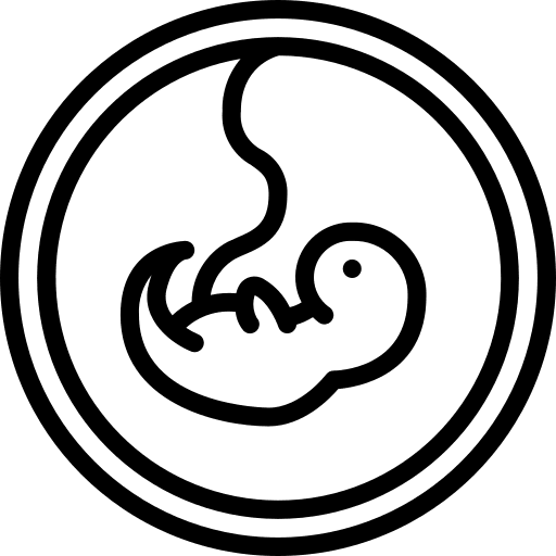 Fetus gestation womb kid and baby icon