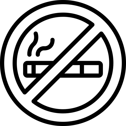 No smoking no smoking nicotine pregnancy icon