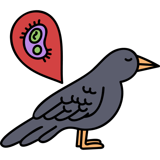 Bird bird virus healthcare and medical icon
