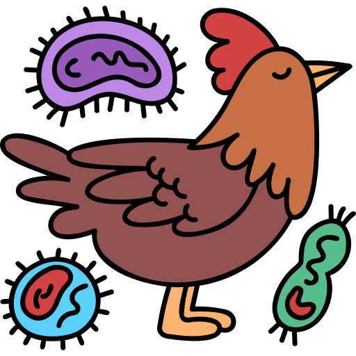 Chicken virus transmission bacteria icon