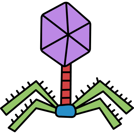 Virus coronavirus biology science icon