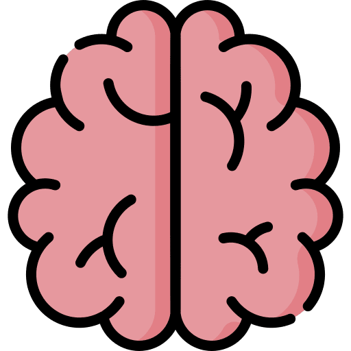 Brain human brain body organ brain icon