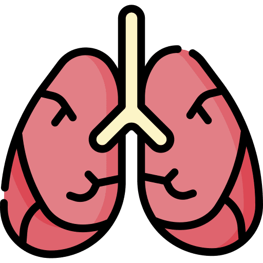 Lungs lungs breath human lungs icon