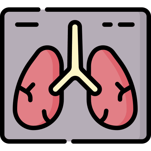 X ray lung x ray lungs icon