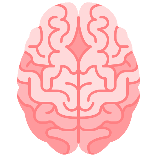 Brain human brain brain human body icon