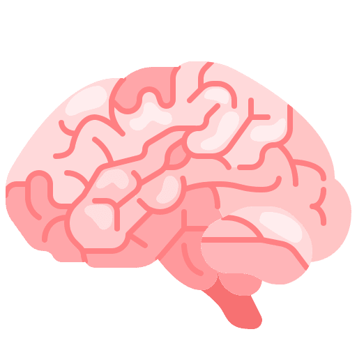 Brain human brain human body medical icon