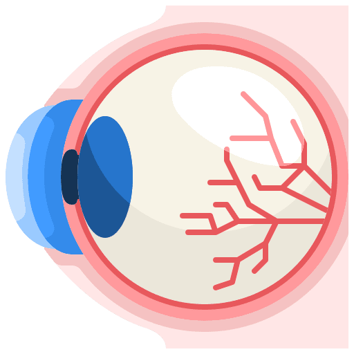 Eye ball human body eyeball eyes icon