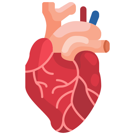 Heart organ cardiovascular healthcare and medical icon