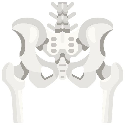 Hips bones hips hip icon