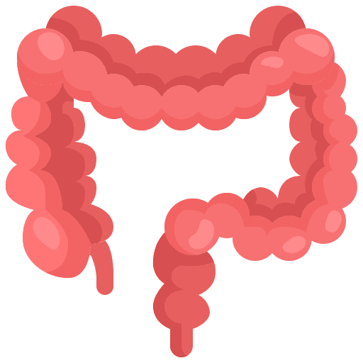 Intestine intestine body parts healthcare and medical icon