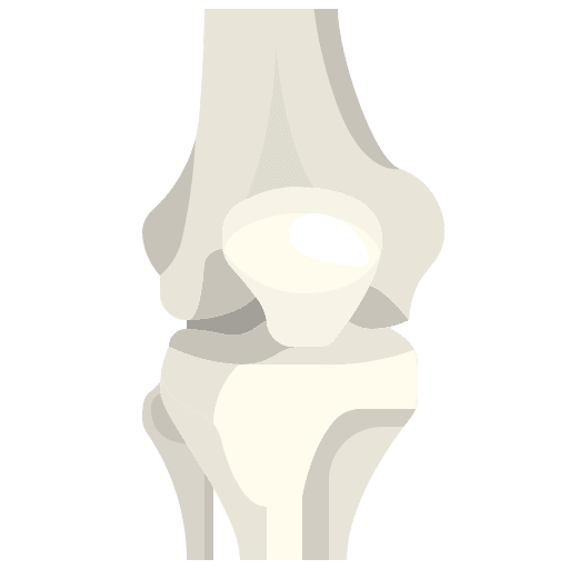 Knee knees knee bone icon