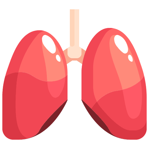 Lungs anatomy breathe organ icon