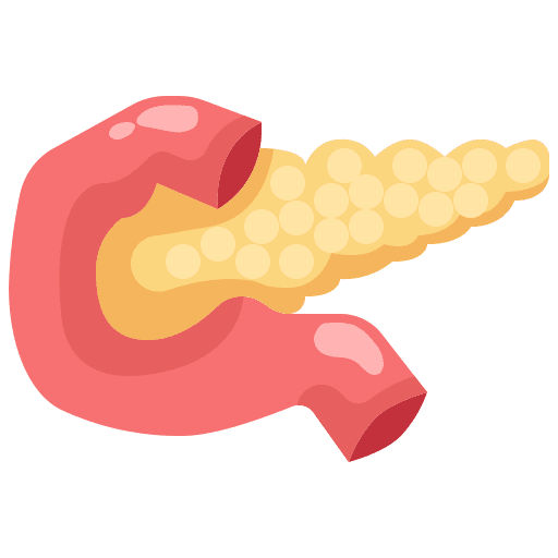 Pancreas anatomy healthcare and medical pancreas icon