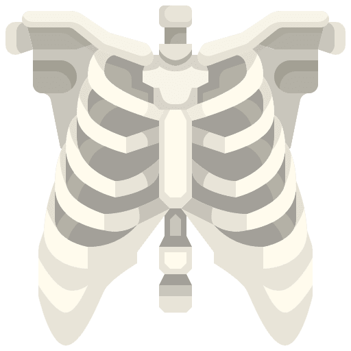Skeleton thorax bone healthcare and medical icon