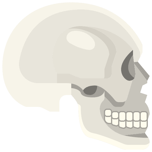 Skull human body skull icon