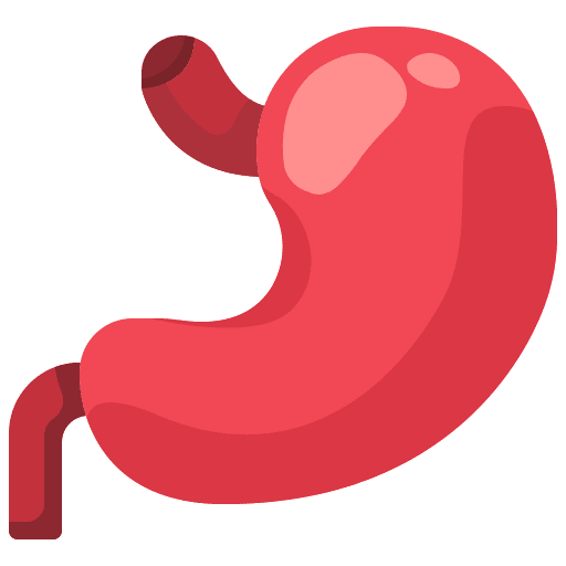 Stomach gastroenterology acid anatomy icon