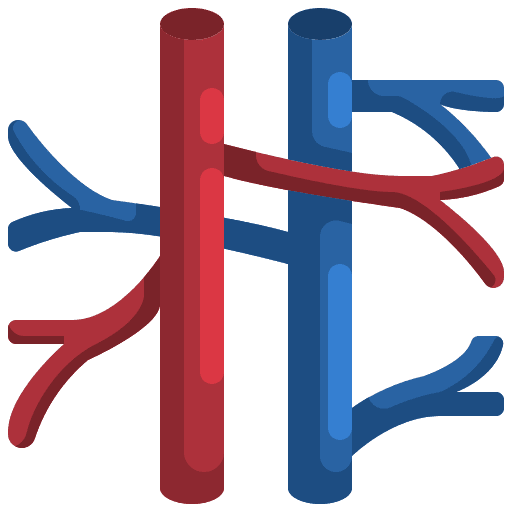 Veins healthcare and medical body parts medical icon