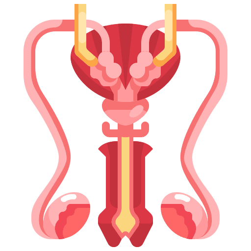 Reproductive medicine healthcare and medical medical icon