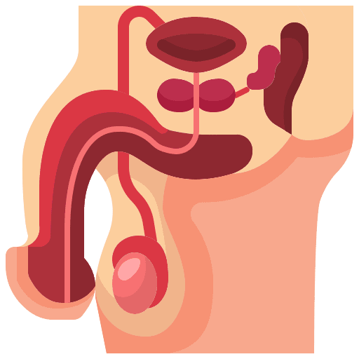 Reproductive reproduction medical biology icon