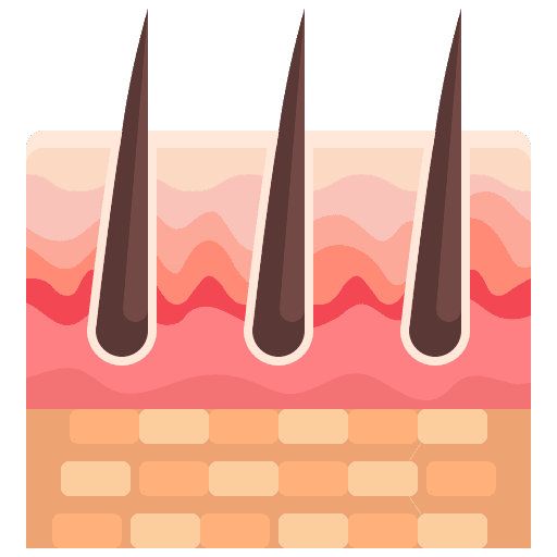 Skin dermathology healthcare and medical follicle icon