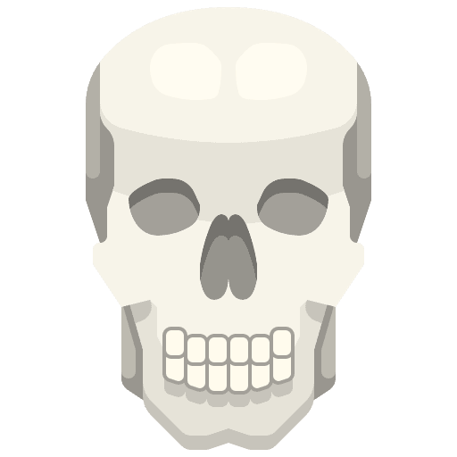 Skull skeleton healthcare and medical bones icon