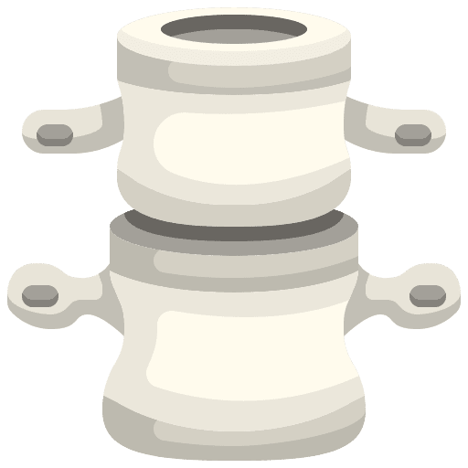 Spine healthcare and medical backbone anatomy icon
