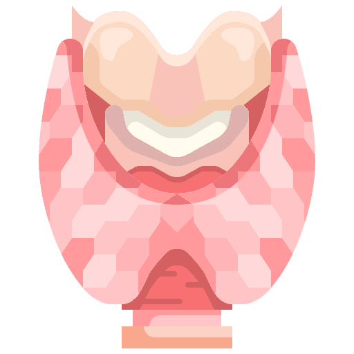 Thyroid endocrine thyroid medical icon