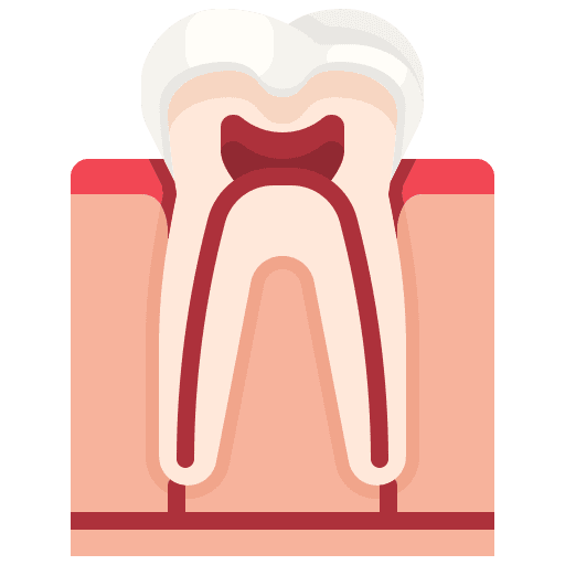 Tooth tools and utensils teeth premolar icon