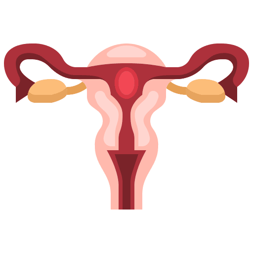 Uterus medical healthcare and medical uterus icon