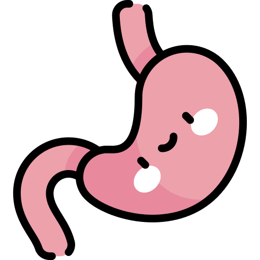 Stomach healthcare and medical healthcare gastroenterology icon