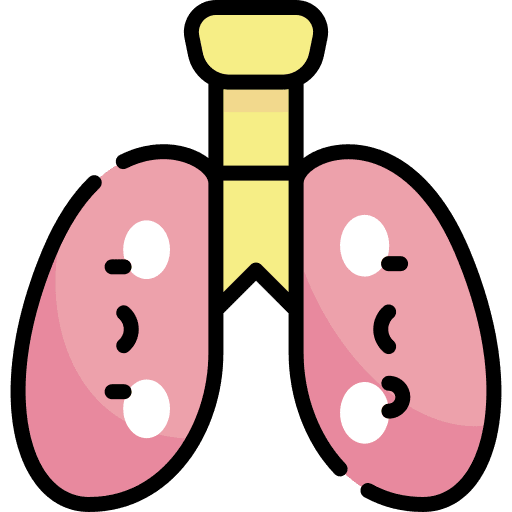 Lungs body healthcare and medical lungs icon