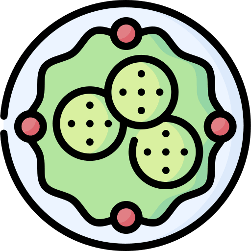 Salad healthy food fruit salad icon