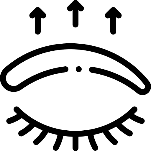 Eyebrow aesthetic eyebrow operation icon