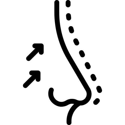 Rhinoplasty nose beauty anatomy icon