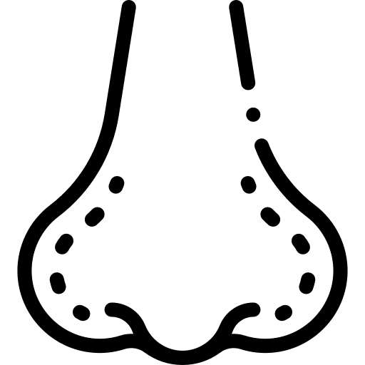 Nose aesthetic healthcare and medical beauty icon