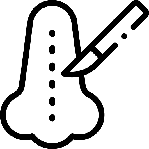 Rhinoplasty rhinoplasty healthcare and medical anatomy icon