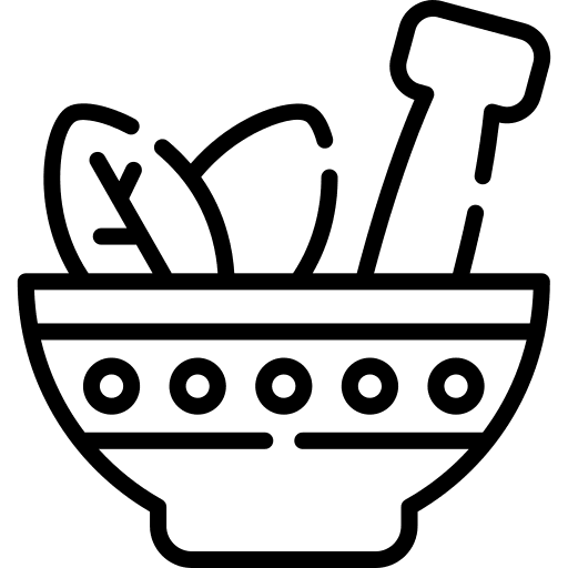 Natural wellness treatment herbal icon