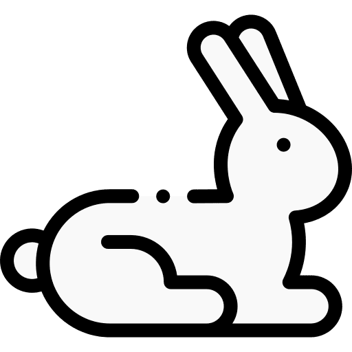 Rabbit animals animal kingdom bunny icon