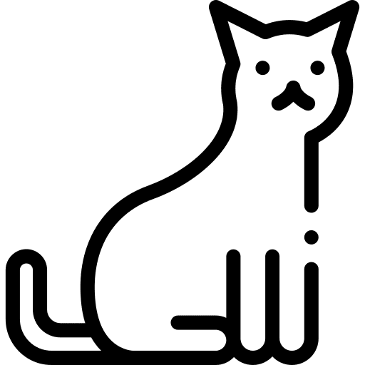 Cat domestic animal kingdom pet icon