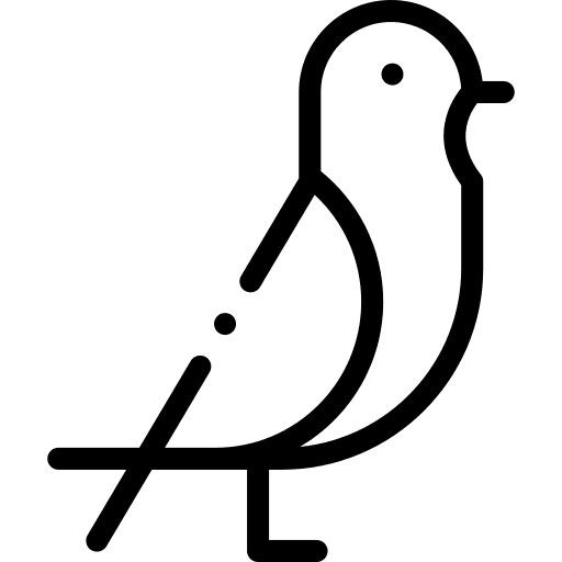 Pigeon bird dove pigeon icon