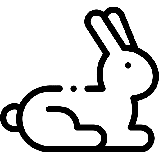 Rabbit bunny pet rabbit icon