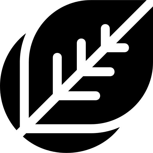 Bio eco friendly features product icon