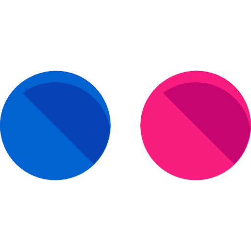 Flickr logotype social network brands and logotypes icon