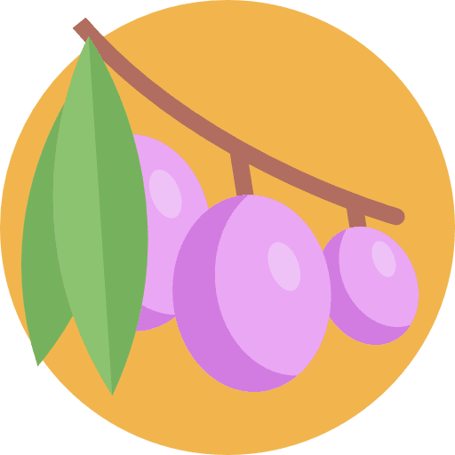 Olives vegetable food and restaurant organic icon